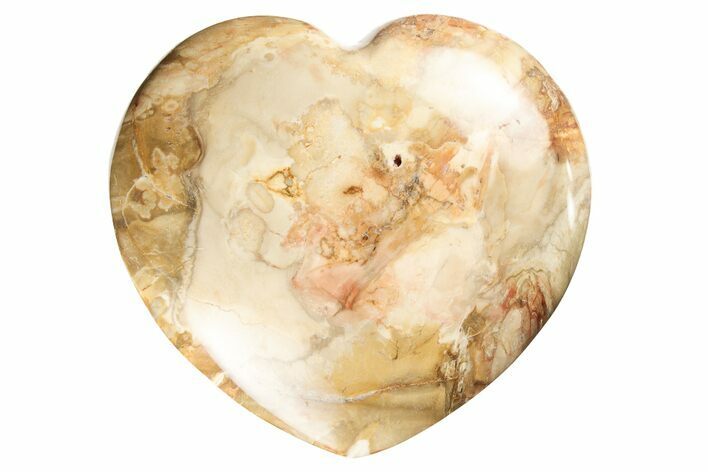 Polished Triassic Petrified Wood Heart - Madagascar #194923